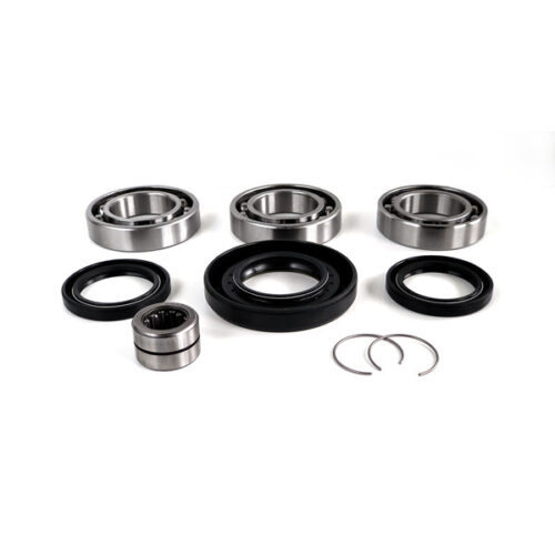 Honda Foreman Rancher Rear Differential Bearing Seal Kit WE290128